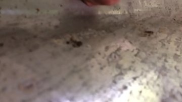 My beloved road safety rail quickie