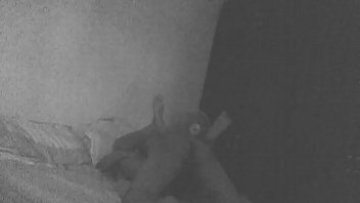 Flick 20180228 154817 edit 0
