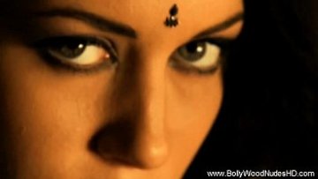 Magnificent glamour Indian cougar