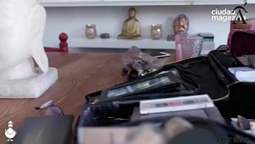 Back de Florencia Pe&ntilde_a para Ciudad Magazine