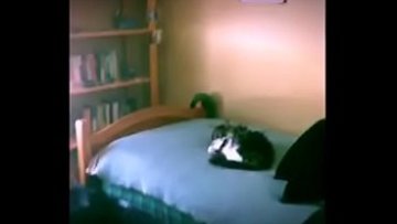 Monstrous vagina railed On sofa