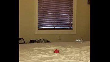 Smack and anal intrusion with brush
