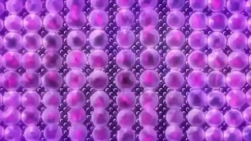 Mc Sumar&eacute morde a poeira - shadowks