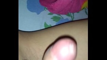Paja mia