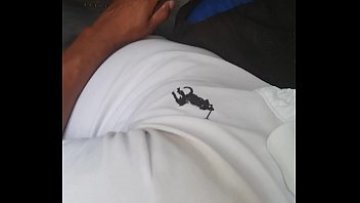 Chacal se pajea en autobus